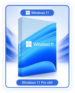 Windows 11-ის გადაყენება თბილისში ბინაზე გამოძახებით