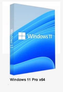 Windows 11-ის გადაყენება თბილისში ბინაზე გამოძახებით